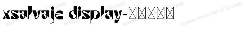xsalvaje display字体转换